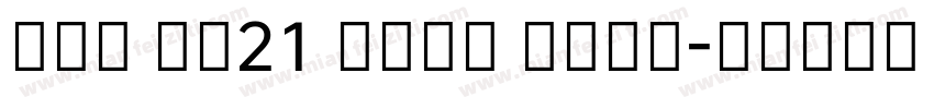New HD21 Incl Simp字体转换